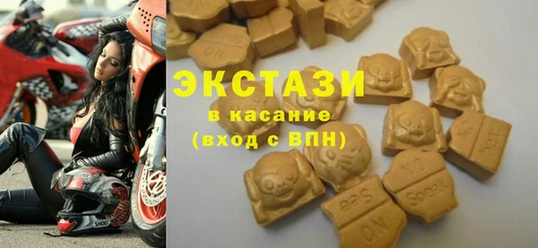 шишки Новозыбков