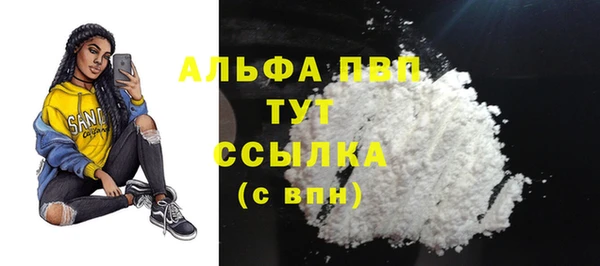 шишки Новозыбков