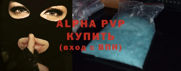 шишки Новозыбков