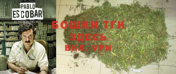 шишки Новозыбков