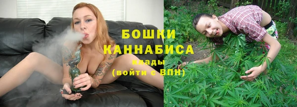 шишки Новозыбков