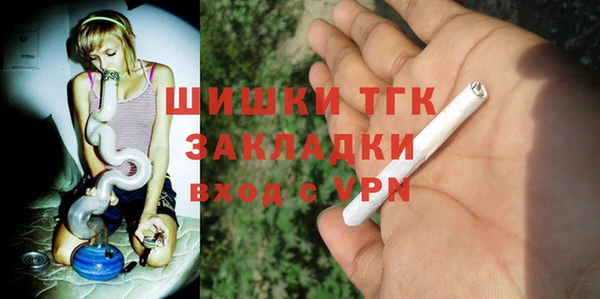 шишки Новозыбков