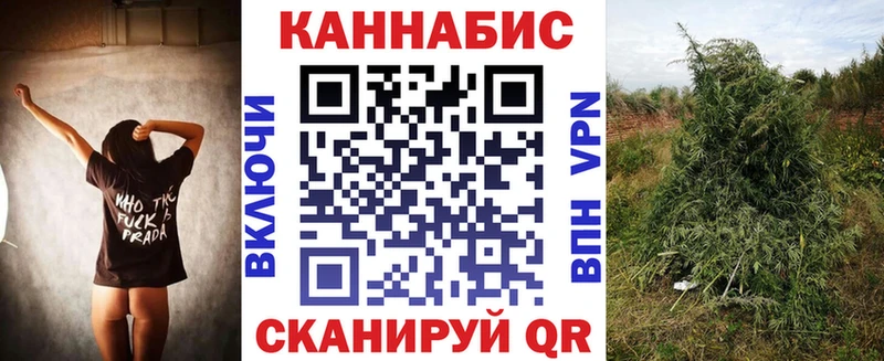 Каннабис Amnesia что такое наркотик MEGA ССЫЛКА Ликино-Дулёво